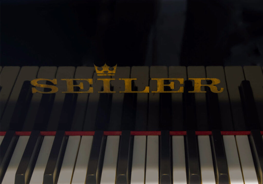 Marie Laurence Lermuzeaux Cours De Piano A Cesson Sevigne Galerie